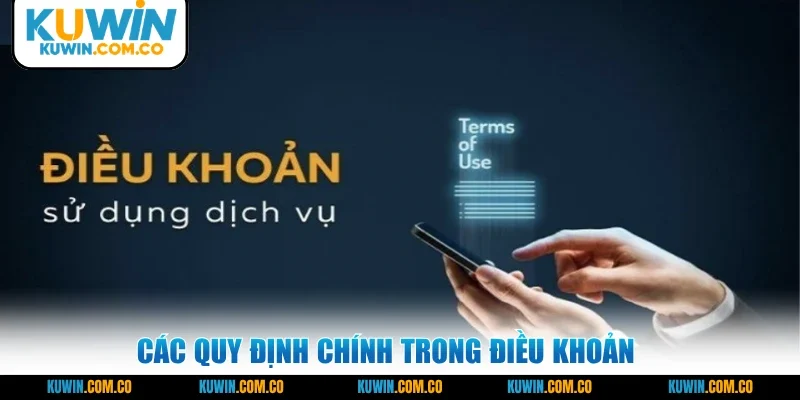 Các quy định chính trong điều khoản