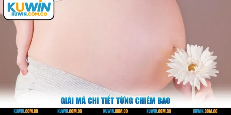 Giải mã chi tiết từng chiêm bao